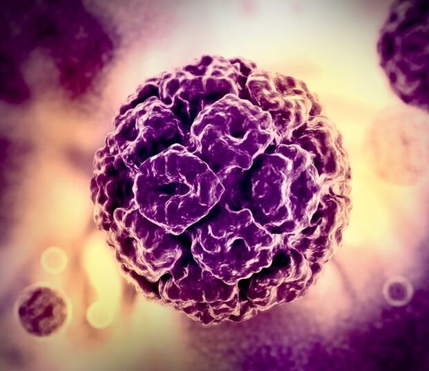 HPV n (ihmisen papilloomavirus) 3D -malli